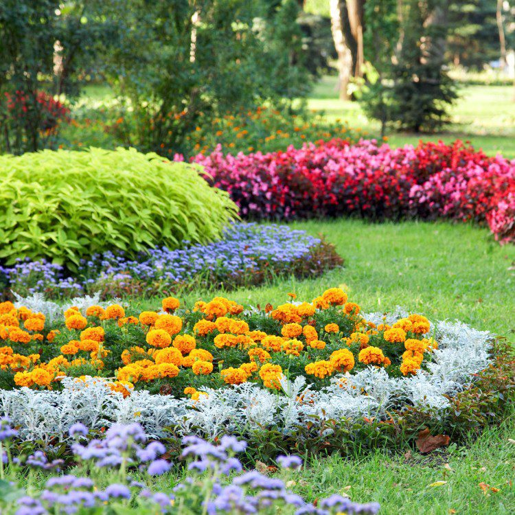 Landscaping and Remodeling in Brevard, NC Landscaping and Remodeling in Brevard, NC