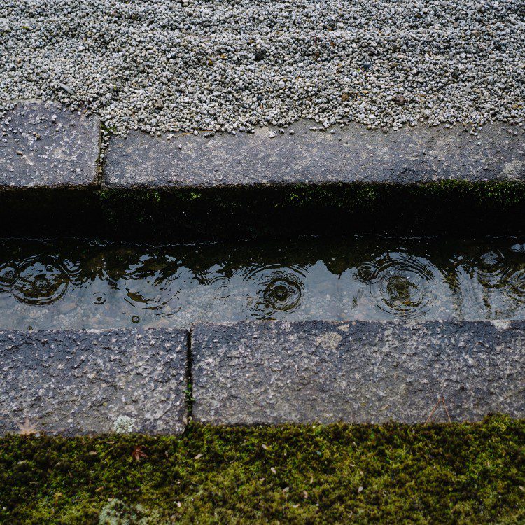 Landscaping and Remodeling in Brevard, NC